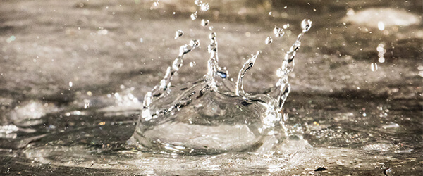 Better When It's Wetter jpg Better When it's wetter